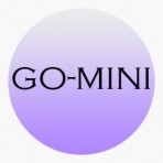 ریموت Go mini